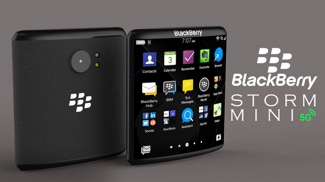 Blackberry Storm Mini 2022