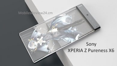 Sony XPERIA Z Pureness 5G